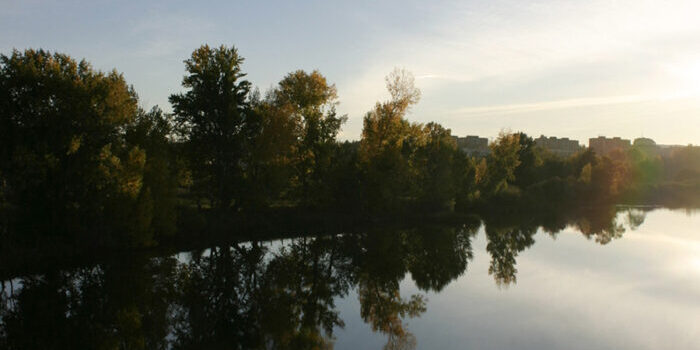 The Relationship Between Patient and Therapist