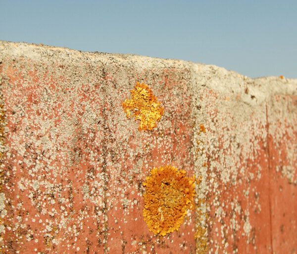 Depth Psychotherapy Psychotherapy