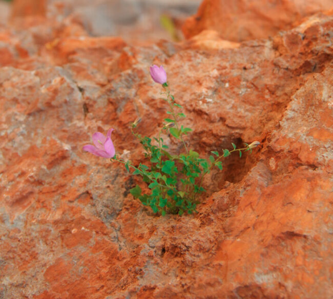 Depression; counselling and psychotherapy Psychotherapy is an efficient treatment for the barrenness of depression.