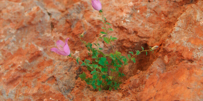 Depression; counselling and psychotherapy Psychotherapy is an efficient treatment for the barrenness of depression.