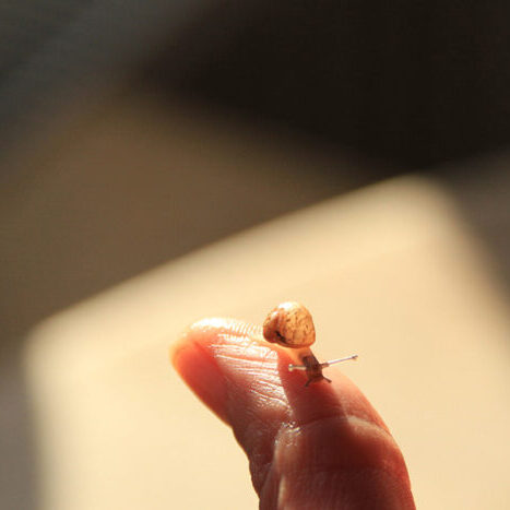 The initial consultation is the beginning of psychotherapy.