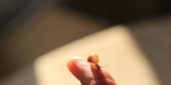 Initial consultation The initial consultation is the beginning of psychotherapy.