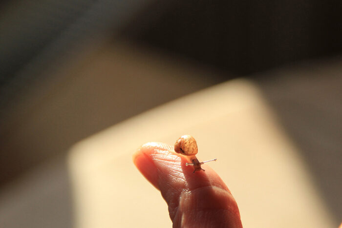 The initial consultation is the beginning of psychotherapy.